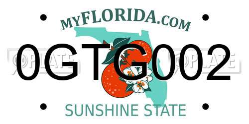 0GTG002 Florida License Plate