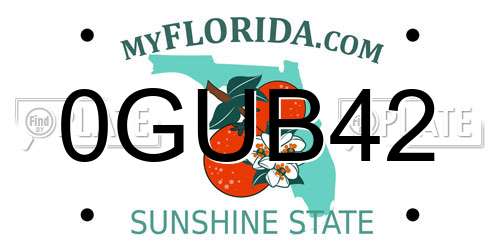 0GUB42 Florida License Plate