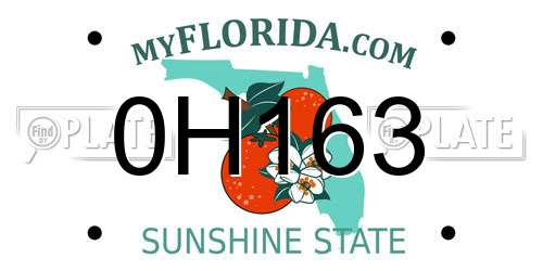 0H163 Florida License Plate