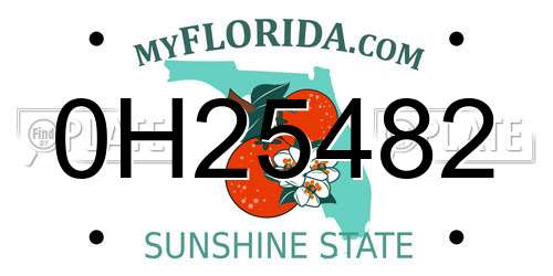 0H25482 Florida License Plate