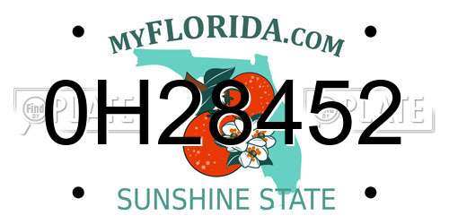 0H28452 Florida License Plate
