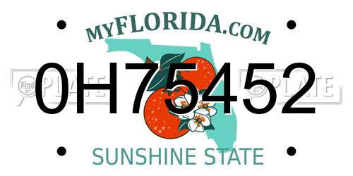 0H75452 Florida License Plate