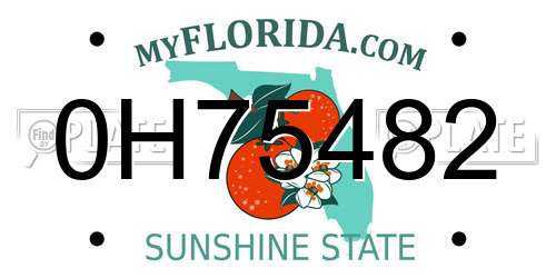 0H75482 Florida License Plate