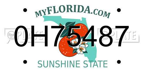 0H75487 Florida License Plate