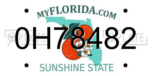 0H78482 Florida License Plate