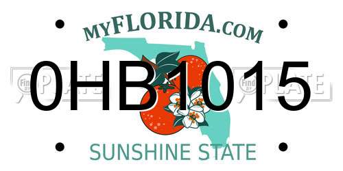 0HB1015 Florida License Plate