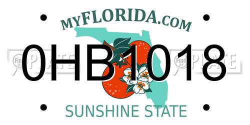 0HB1018 Florida License Plate