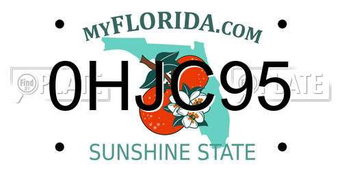 0HJC95 Florida License Plate