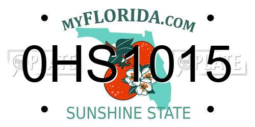0HS1015 Florida License Plate
