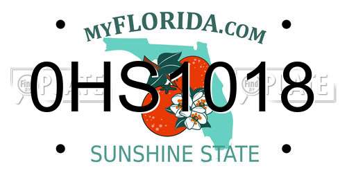 0HS1018 Florida License Plate