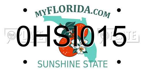0HSI015 Florida License Plate
