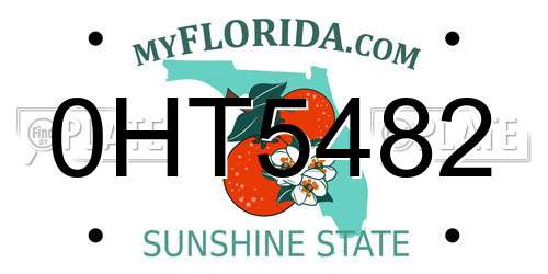0HT5482 Florida License Plate