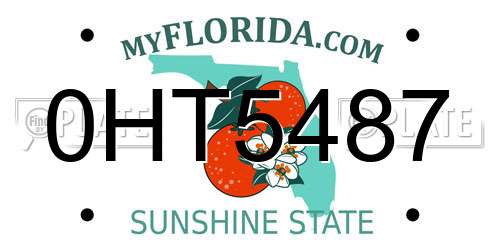 0HT5487 Florida License Plate
