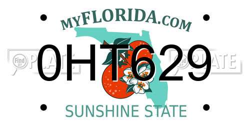 0HT629 Florida License Plate
