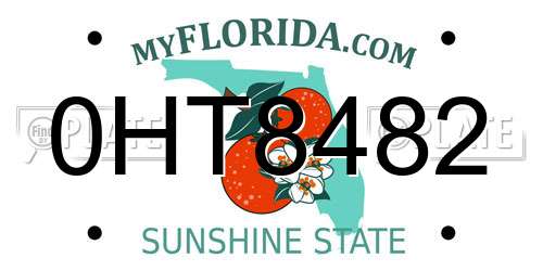0HT8482 Florida License Plate