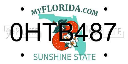 0HTB487 Florida License Plate