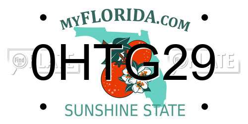 0HTG29 Florida License Plate