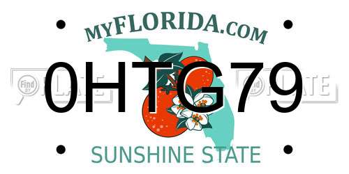 0HTG79 Florida License Plate