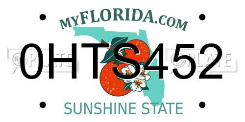 0HTS452 Florida License Plate
