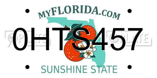 0HTS457 Florida License Plate