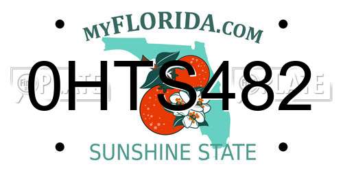 0HTS482 Florida License Plate