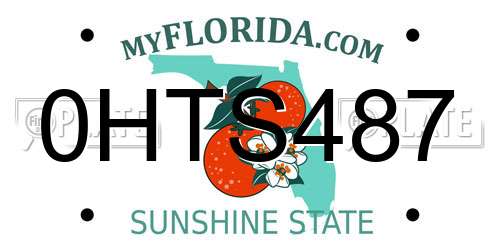 0HTS487 Florida License Plate