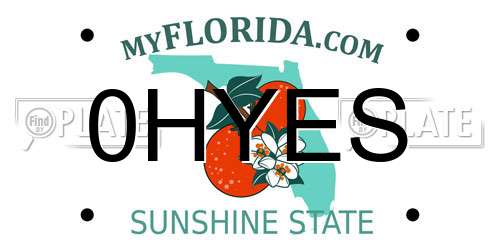 0HYES Florida License Plate