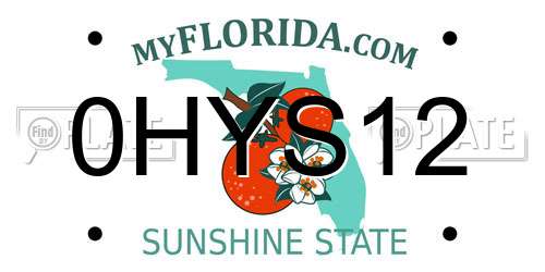 0HYS12 Florida License Plate