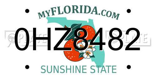 0HZ8482 Florida License Plate