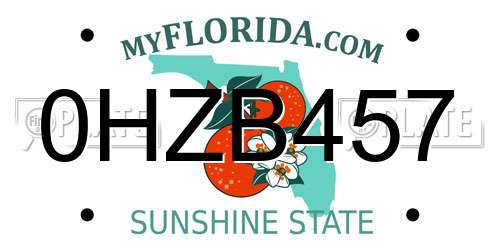 0HZB457 Florida License Plate