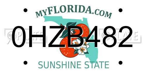 0HZB482 Florida License Plate
