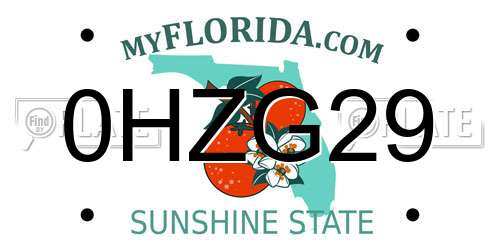 0HZG29 Florida License Plate