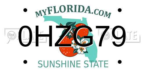 0HZG79 Florida License Plate