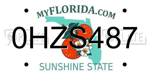0HZS487 Florida License Plate