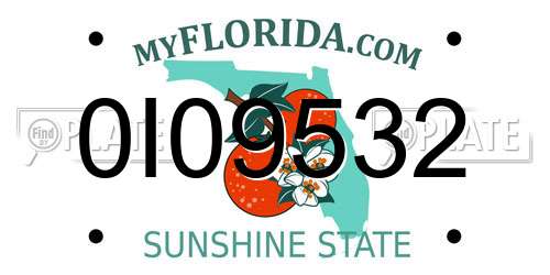 0I09532 Florida License Plate