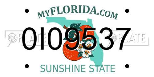 0I09537 Florida License Plate