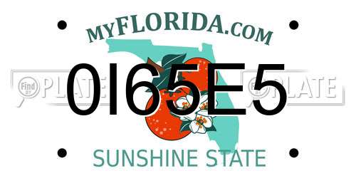 0I65E5 Florida License Plate