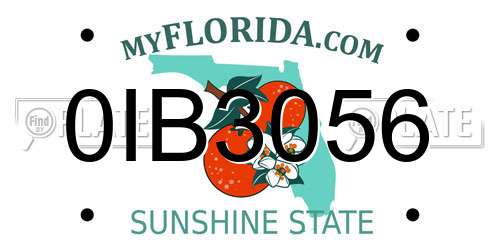 0IB3056 Florida License Plate