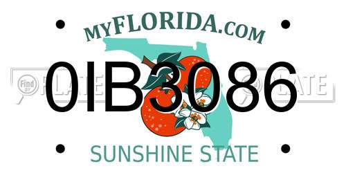 0IB3086 Florida License Plate