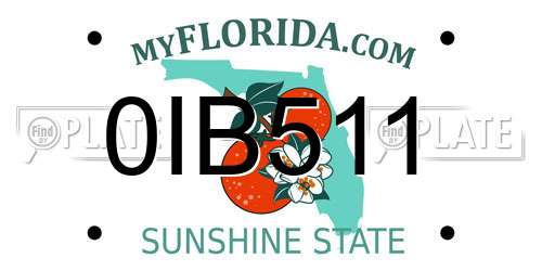 0IB511 Florida License Plate