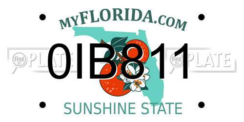 0IB811 Florida License Plate