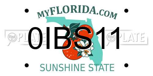 0IBS11 Florida License Plate