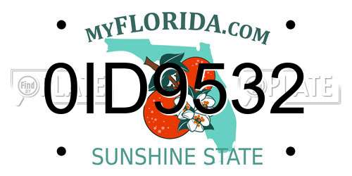 0ID9532 Florida License Plate