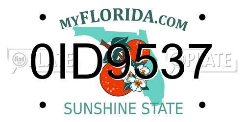 0ID9537 Florida License Plate