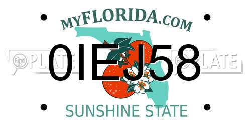 0IEJ58 Florida License Plate