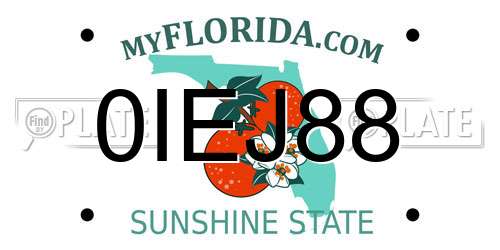 0IEJ88 Florida License Plate