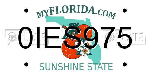 0IES975 Florida License Plate