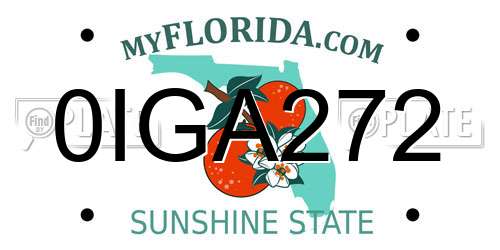0IGA272 Florida License Plate