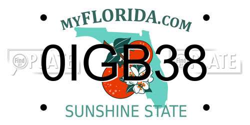 0IGB38 Florida License Plate