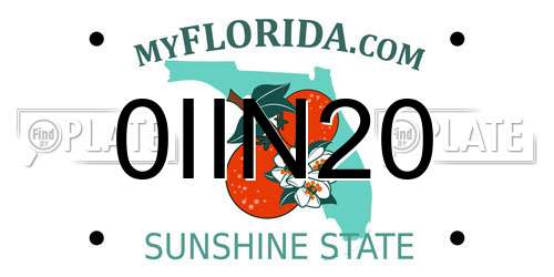 0IIN20 Florida License Plate